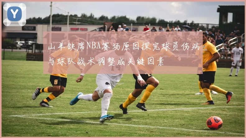 山羊缺席NBA赛场原因探究球员伤病与球队战术调整成关键因素