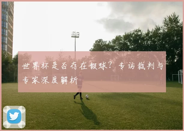 世界杯是否存在假球？专访裁判与专家深度解析
