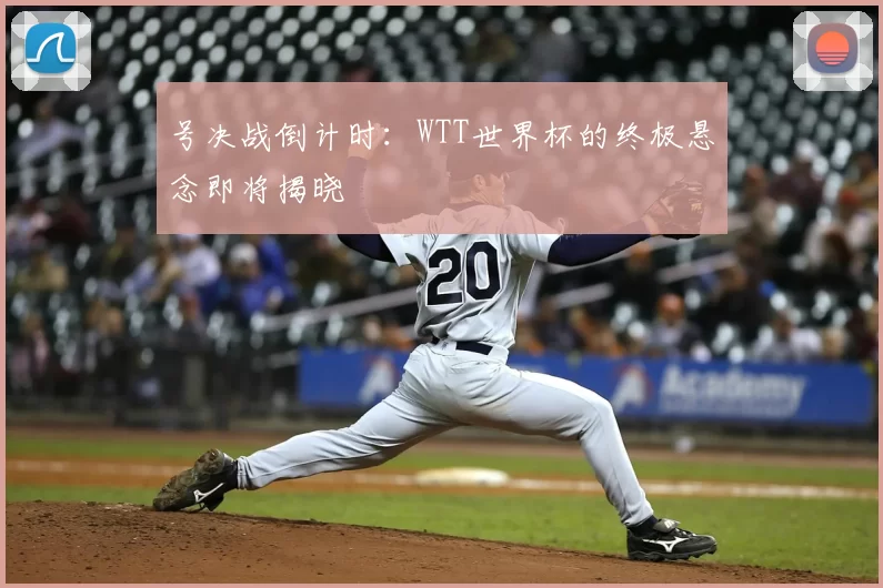 号决战倒计时:WTT世界杯的终极悬念即将揭晓