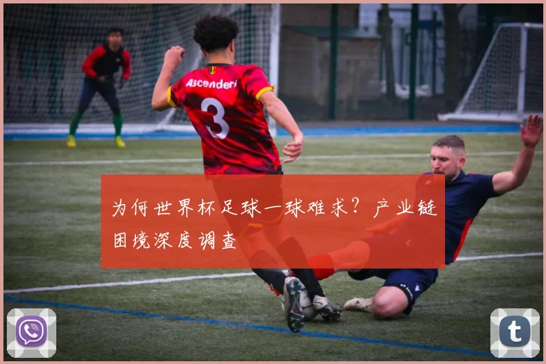 为何世界杯足球一球难求？产业链困境深度调查