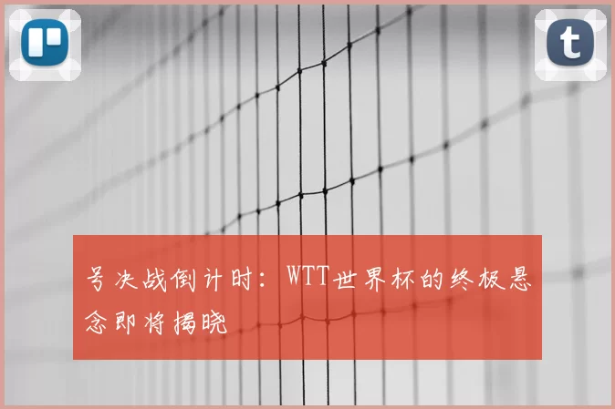 号决战倒计时:WTT世界杯的终极悬念即将揭晓