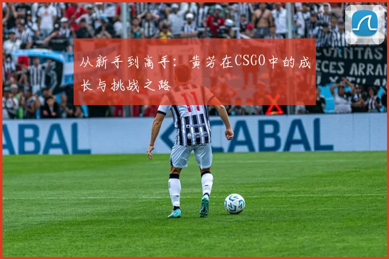 从新手到高手：黄芳在CSGO中的成长与挑战之路