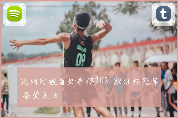 比利时被看好夺得2021欧洲杯冠军 备受关注