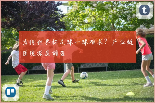 为何世界杯足球一球难求？产业链困境深度调查