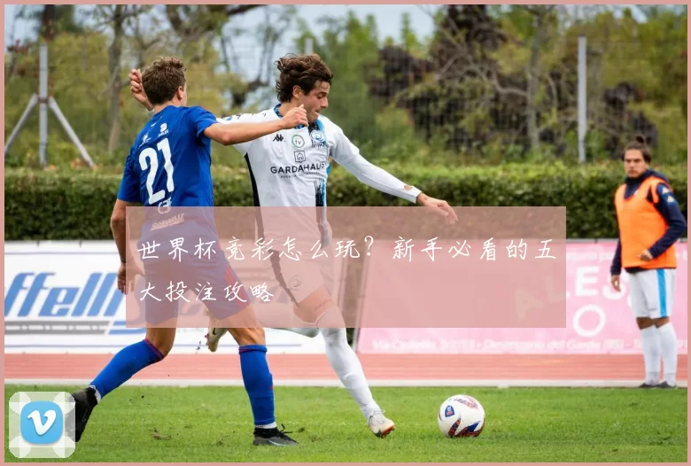 世界杯竞彩怎么玩?新手必看的五大投注攻略